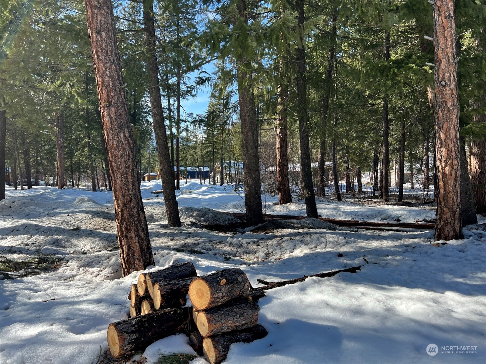 8 Nellas Place Winthrop, WA 98862 - Photo 25 of 25 a view of a yard with trees
