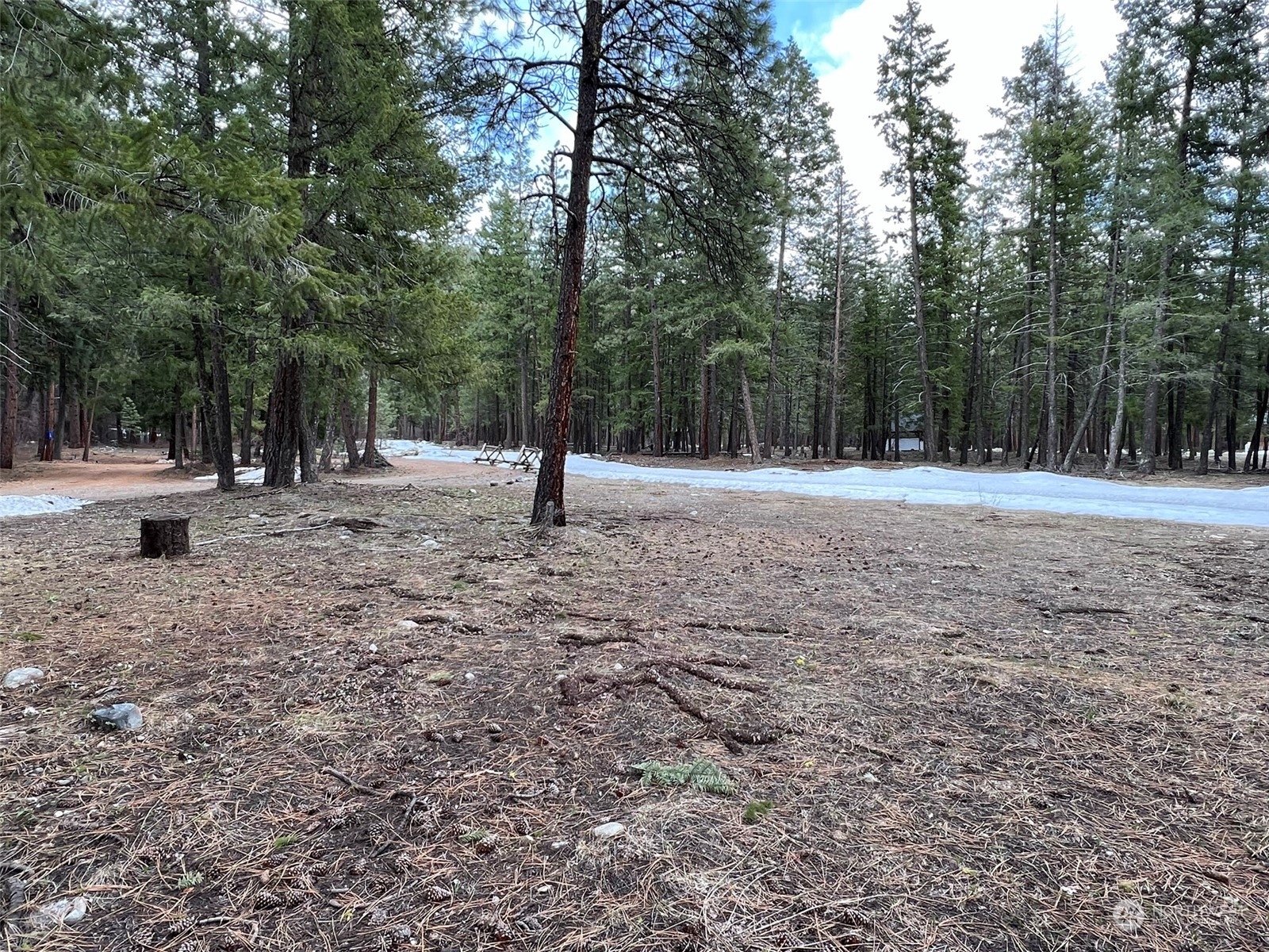 8 Nellas Place Winthrop, WA 98862 - Photo 6 of 25 a view of a yard with a tree