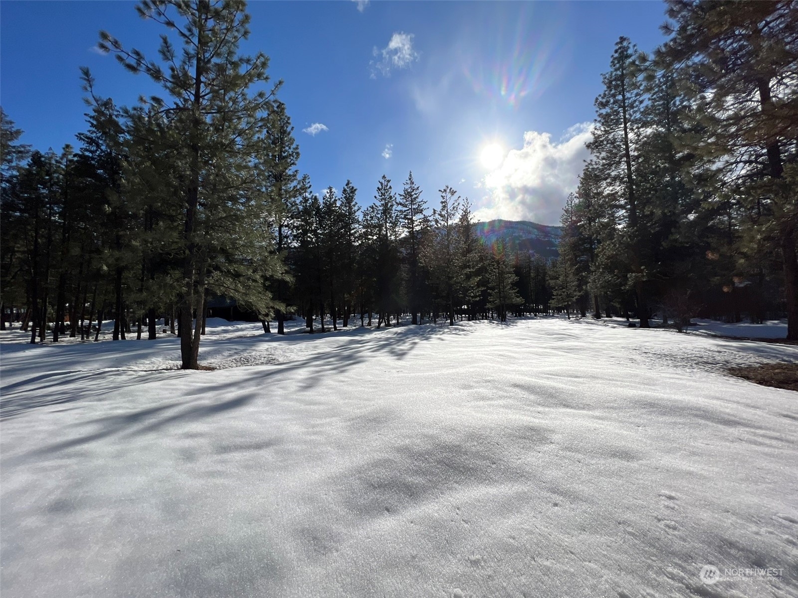 8 Nellas Place Winthrop, WA 98862 - Photo 8 of 25 a view of outdoor space with trees