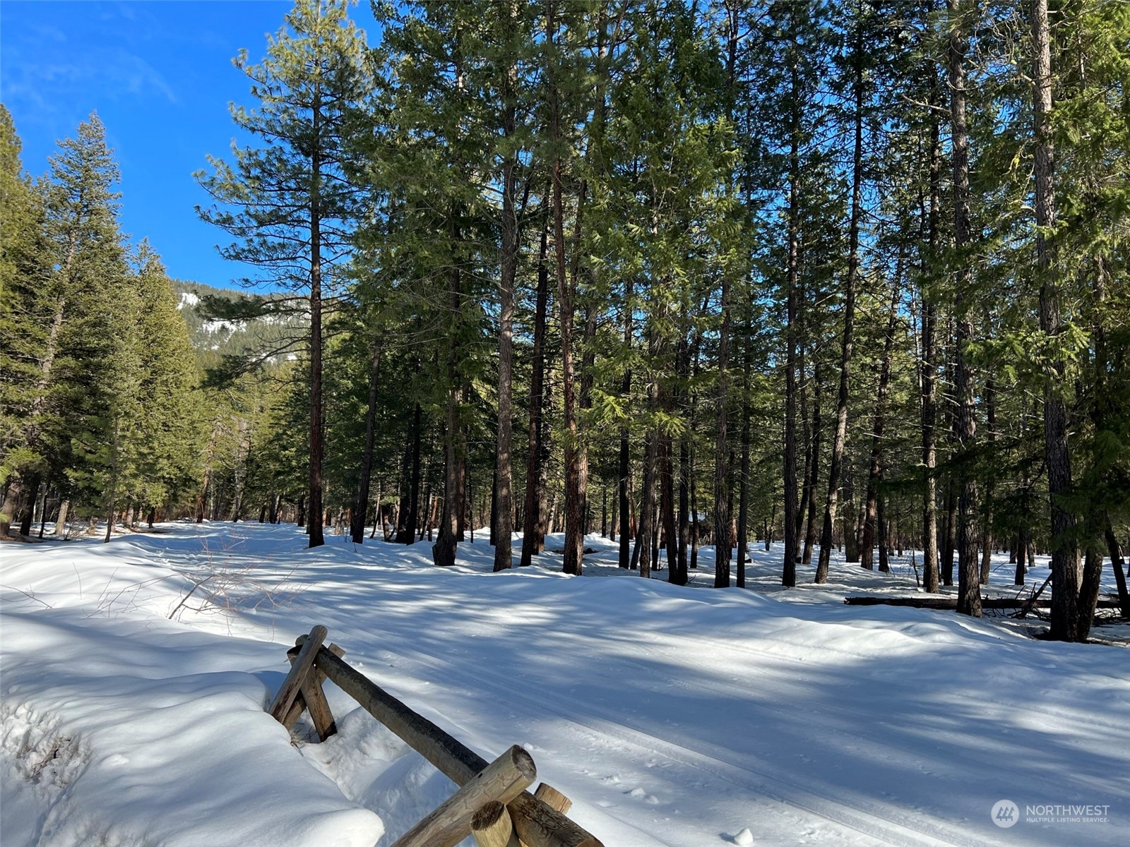 8 Nellas Place Winthrop, WA 98862 - Photo 9 of 25 a view of road with trees