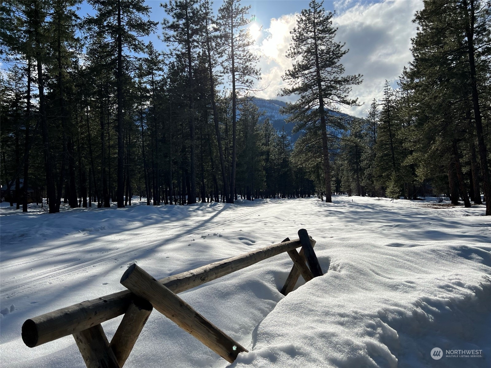 8 Nellas Place Winthrop, WA 98862 - Photo 10 of 25 a view of outdoor space with trees