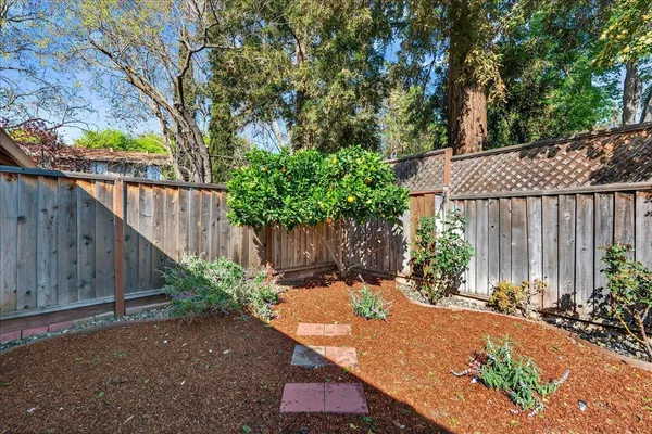 a view of small garden with wooden fence