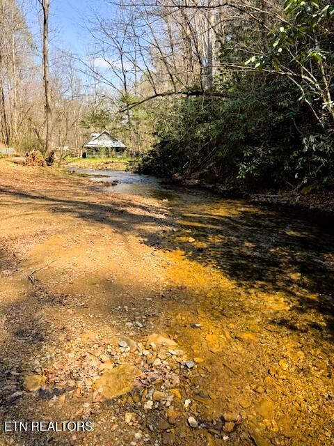 7.68-ac Ellis Creek Road Reliance, TN 37369 - Photo 11 of 18 Ellis Creek towards the Hiwassee River