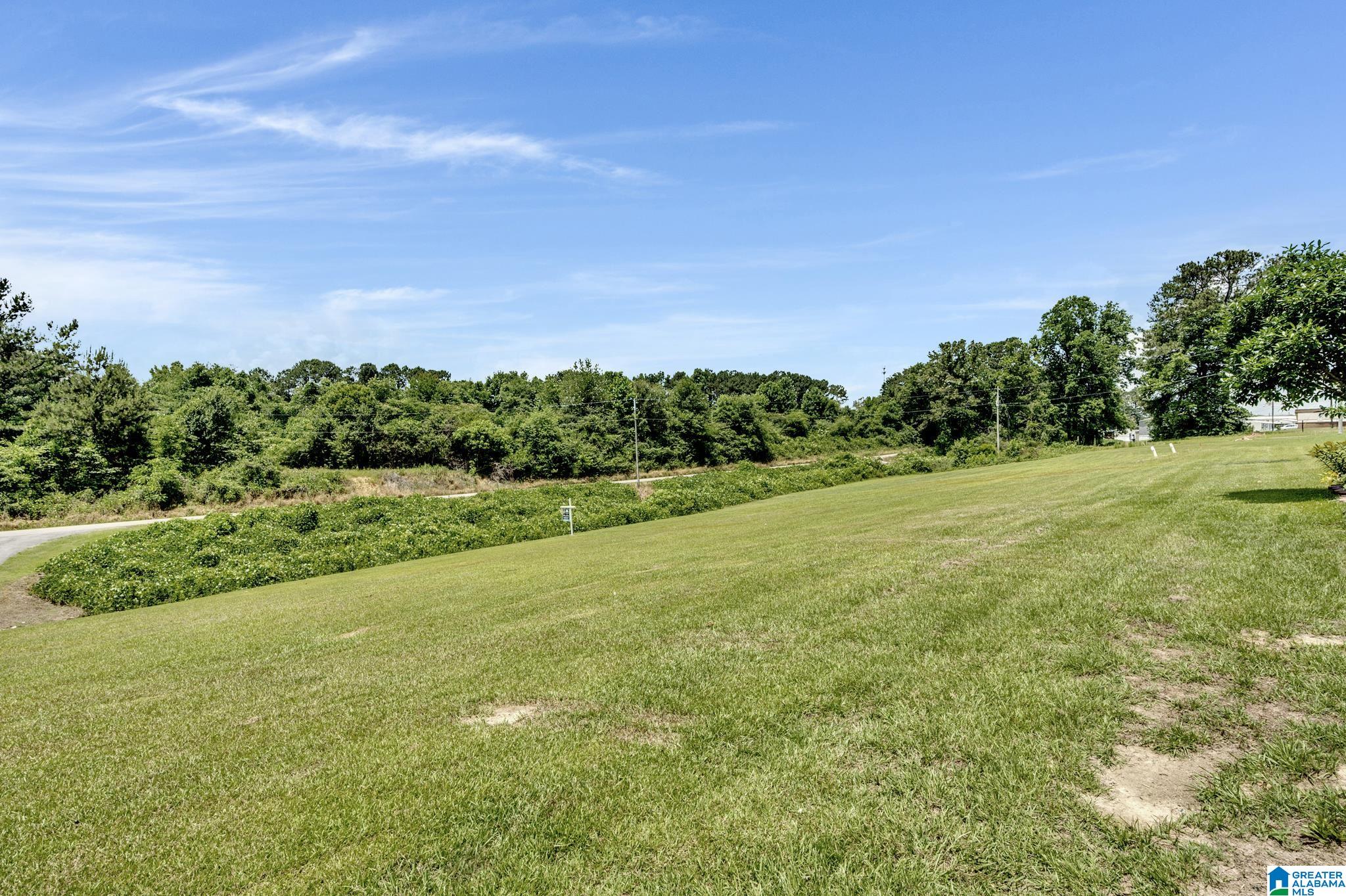 7681 Thed Brasfield Road Dora, AL 35062 - Photo 4 of 36