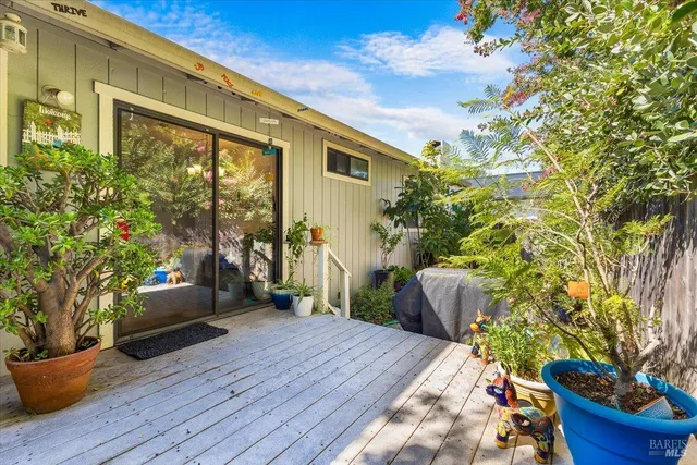 a view of a backyard with furniture and plants