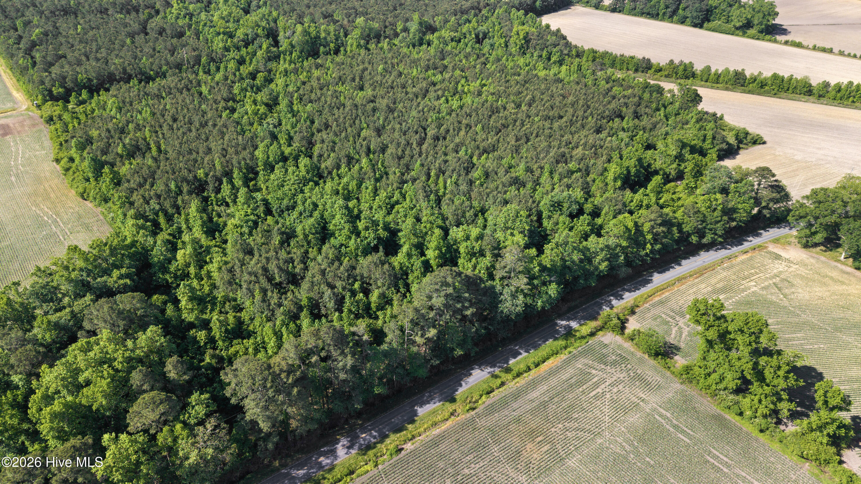 26-acres High School Road Teachey, NC 28464 - Photo 20 of 23 24-DJI_20260428095517_0095_D