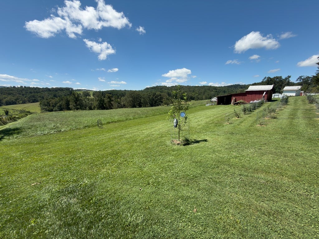 7038 Pipers Gap Road Galax, VA 24333 - Photo 71 of 76 Gallery Image 71