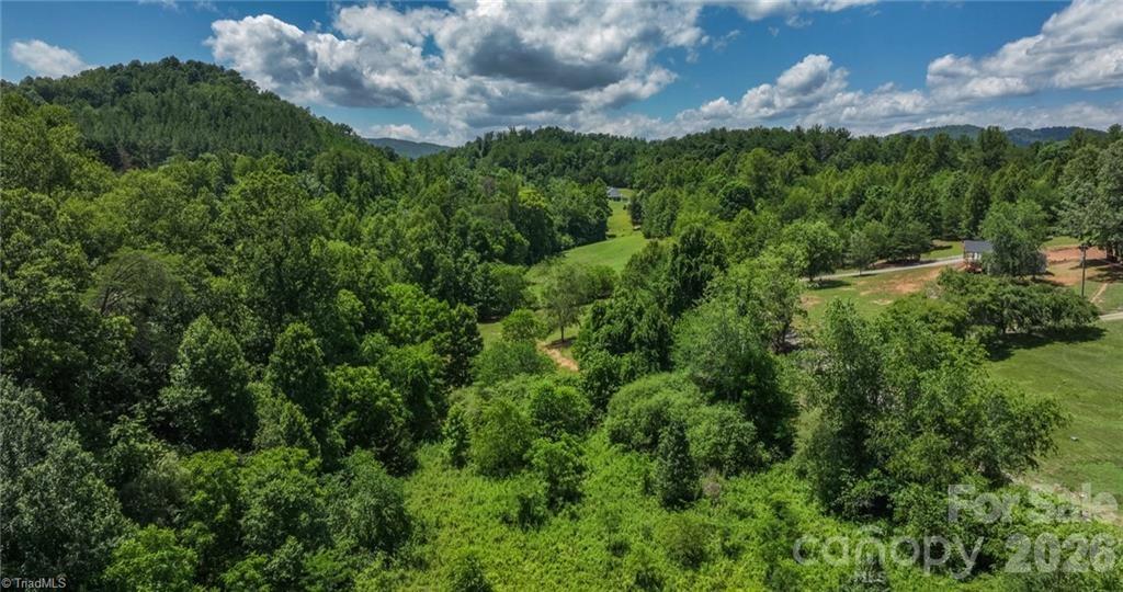 1111 Rocky Top Acres Road Ferguson, NC 28624 - Photo 7 of 13