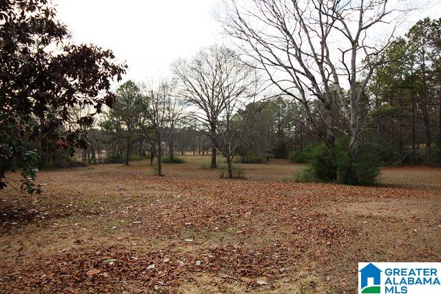 264 Pepper Road Cropwell, AL 35054 - Photo 16 of 38