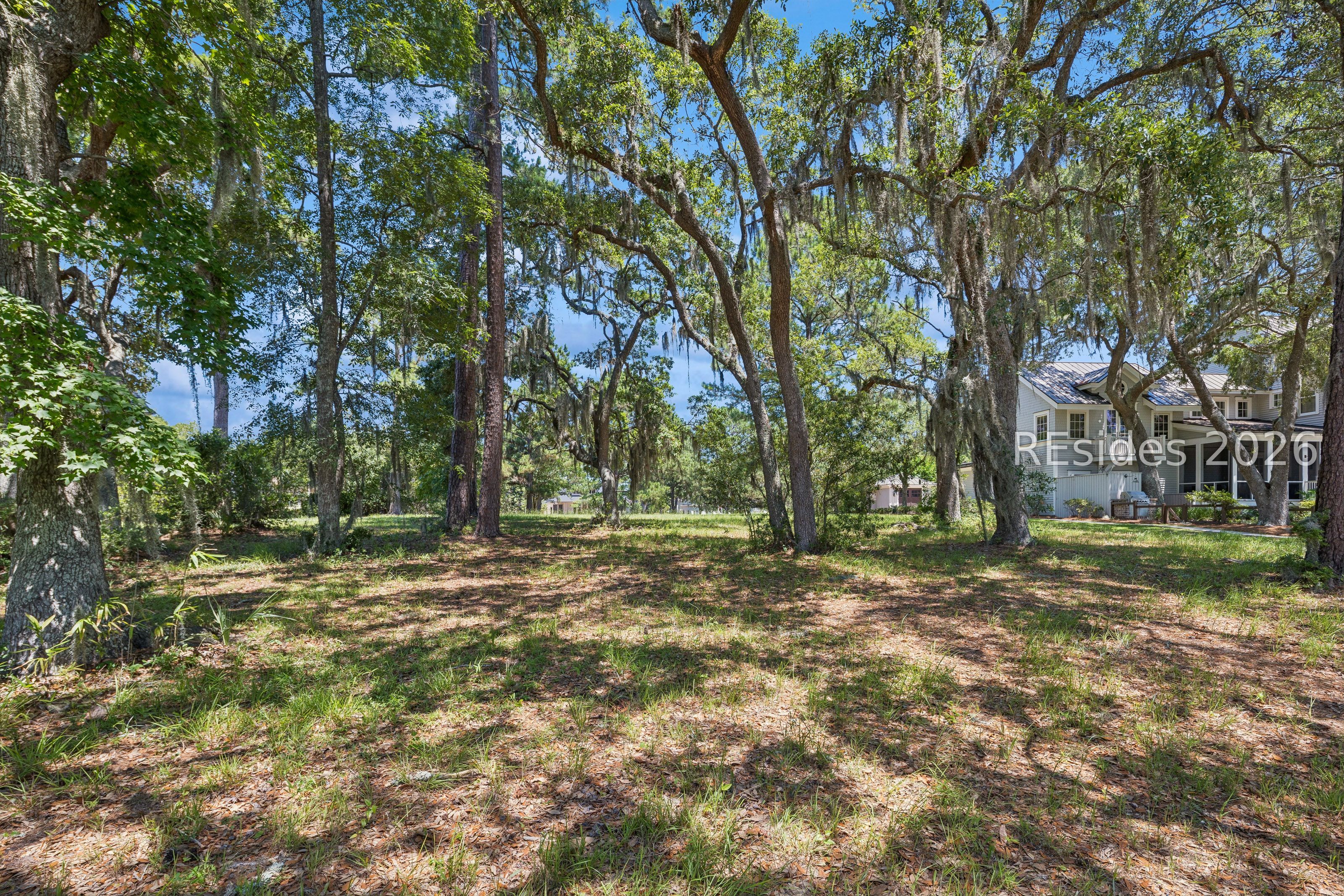 8 Pinckney View Circle Bluffton, SC 29909 - Photo 12 of 29