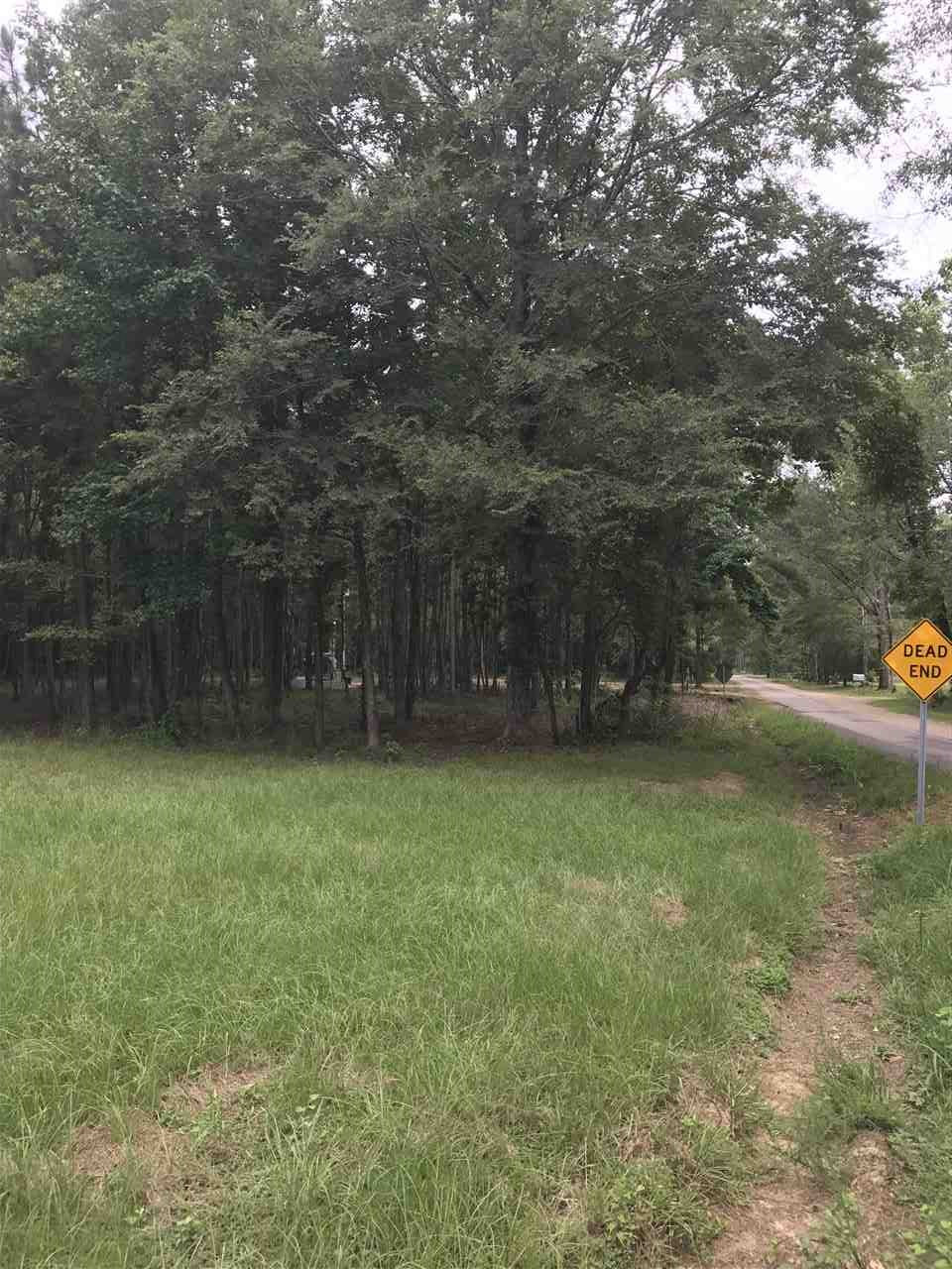 108 Dummy Line Road Canton, MS 39046 - Photo 4 of 5 Photo 4
