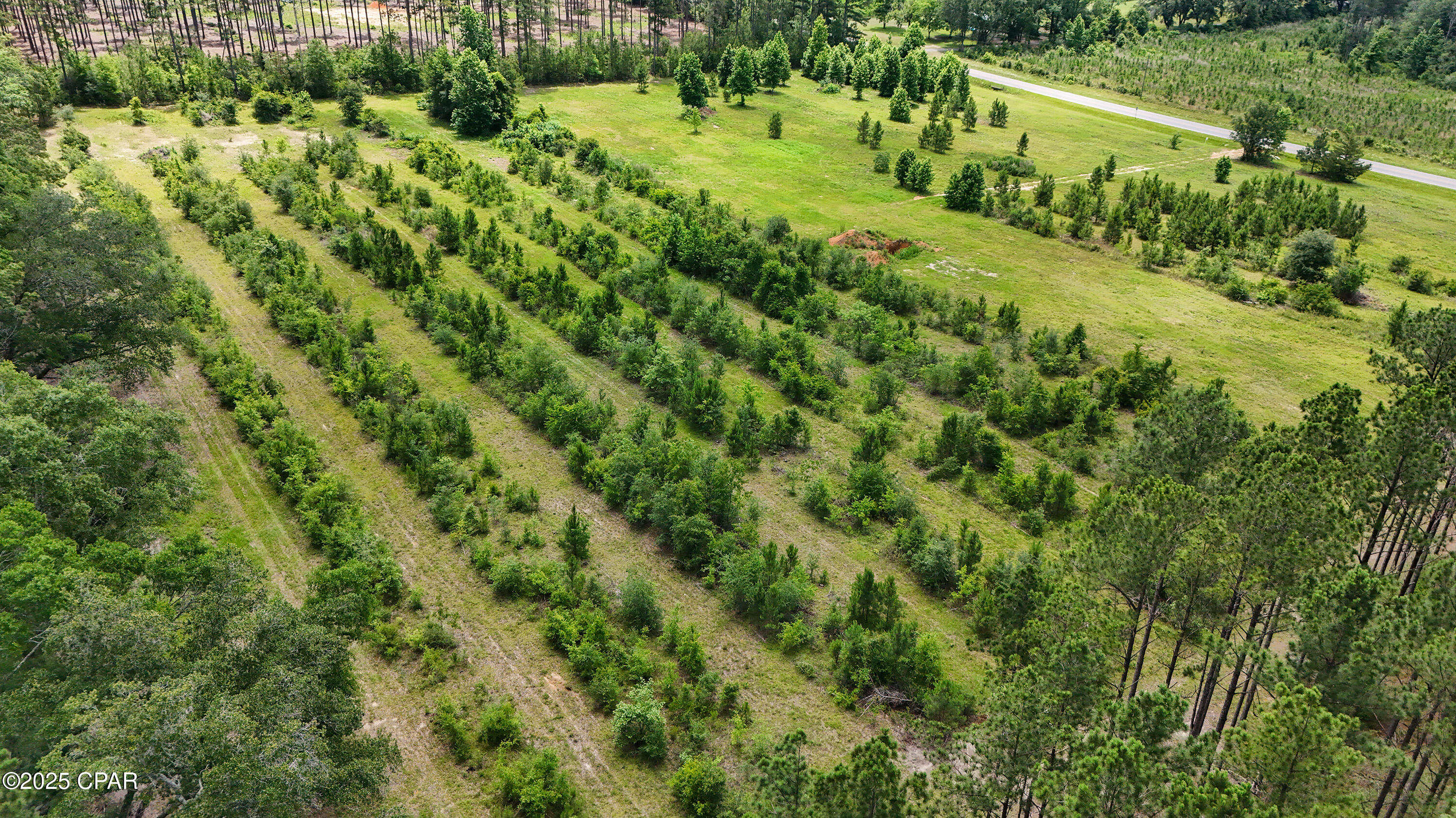 0 Wilderness Road Caryville, FL 32427 - Photo 11 of 16