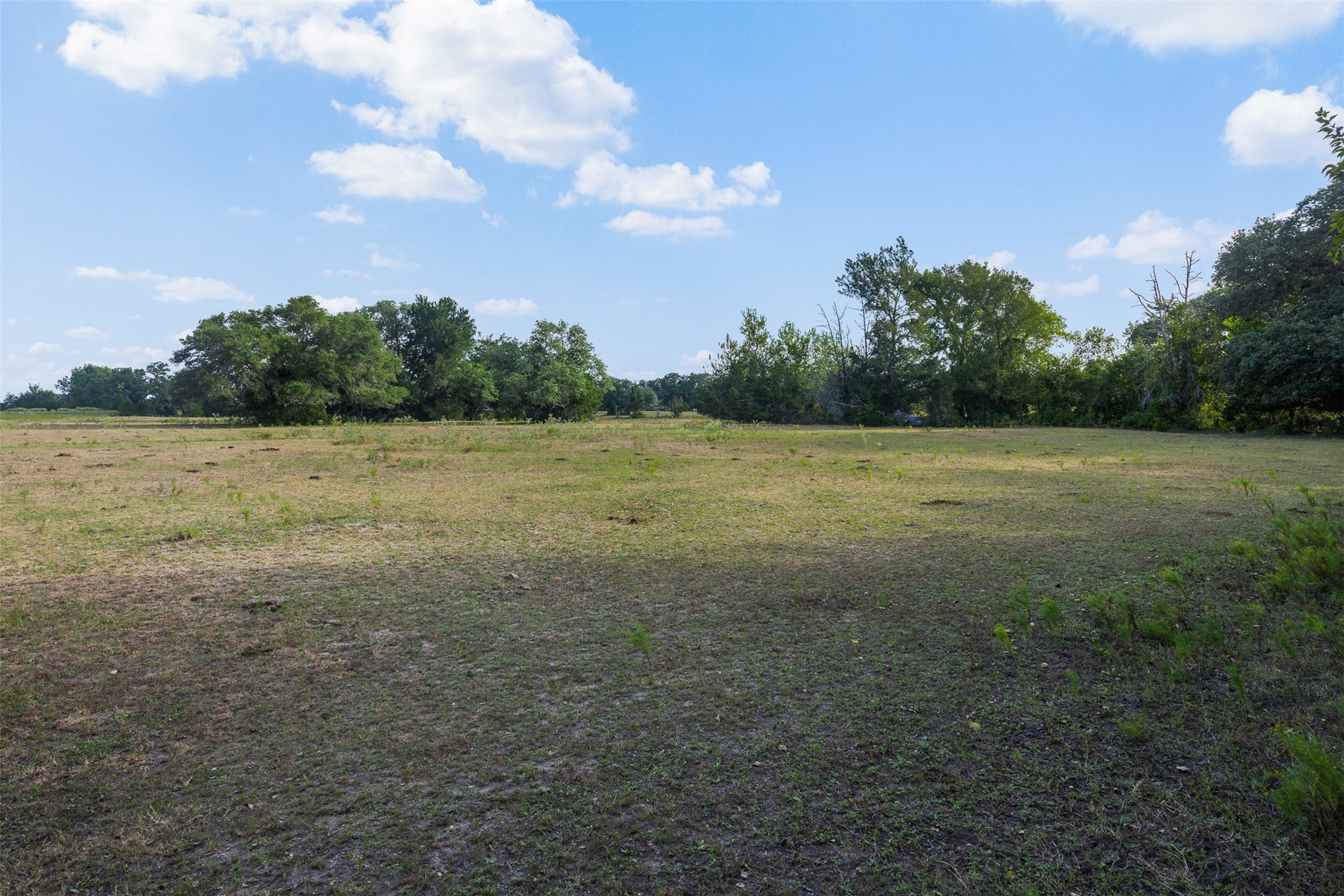 444 North Nassau Road Round Top, TX 78954 - Photo 12 of 19 Gallery Image 12
