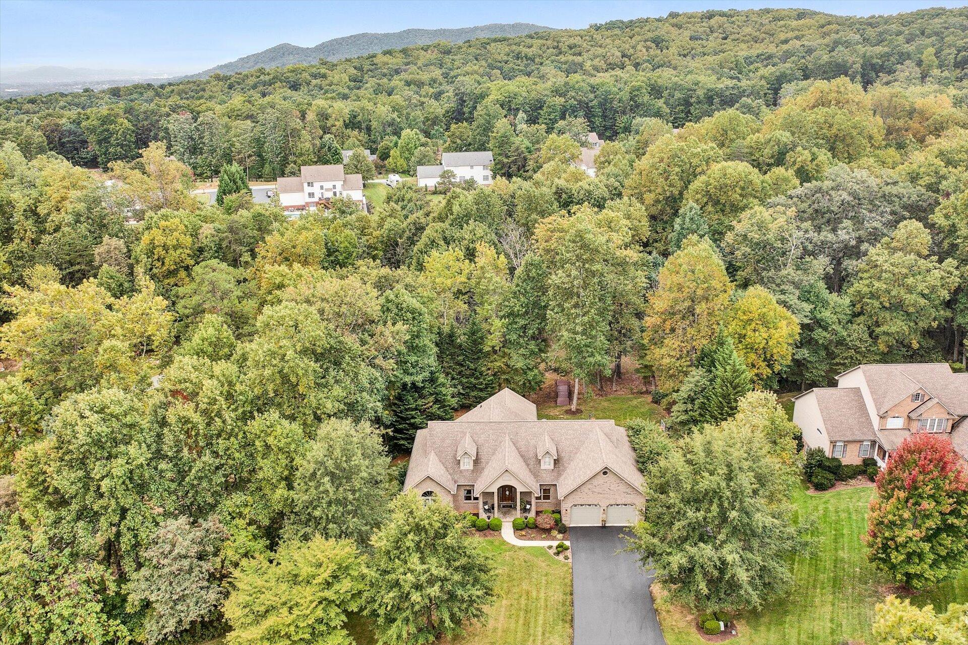 99 Gillie Lane Blue Ridge, VA 24064 - Photo 4 of 48 06-093020220062