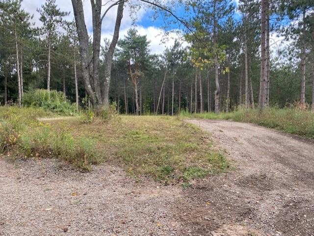 6208 Farrell Road Central Lake, MI 49622 - Photo 14 of 17