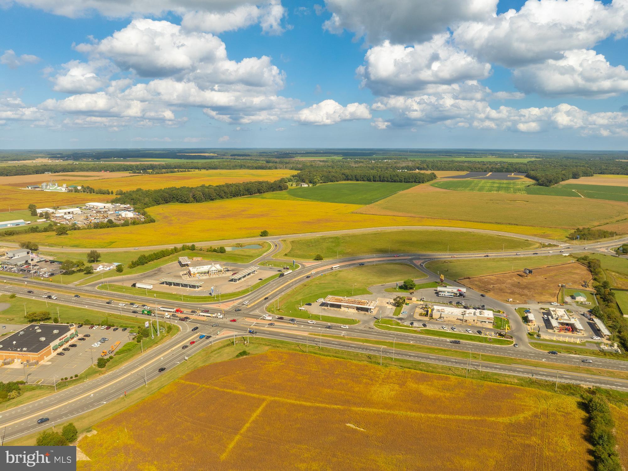 404 Tatman Farm Road Bridgeville, DE 19933 - Photo 12 of 13 a view of an ocean
