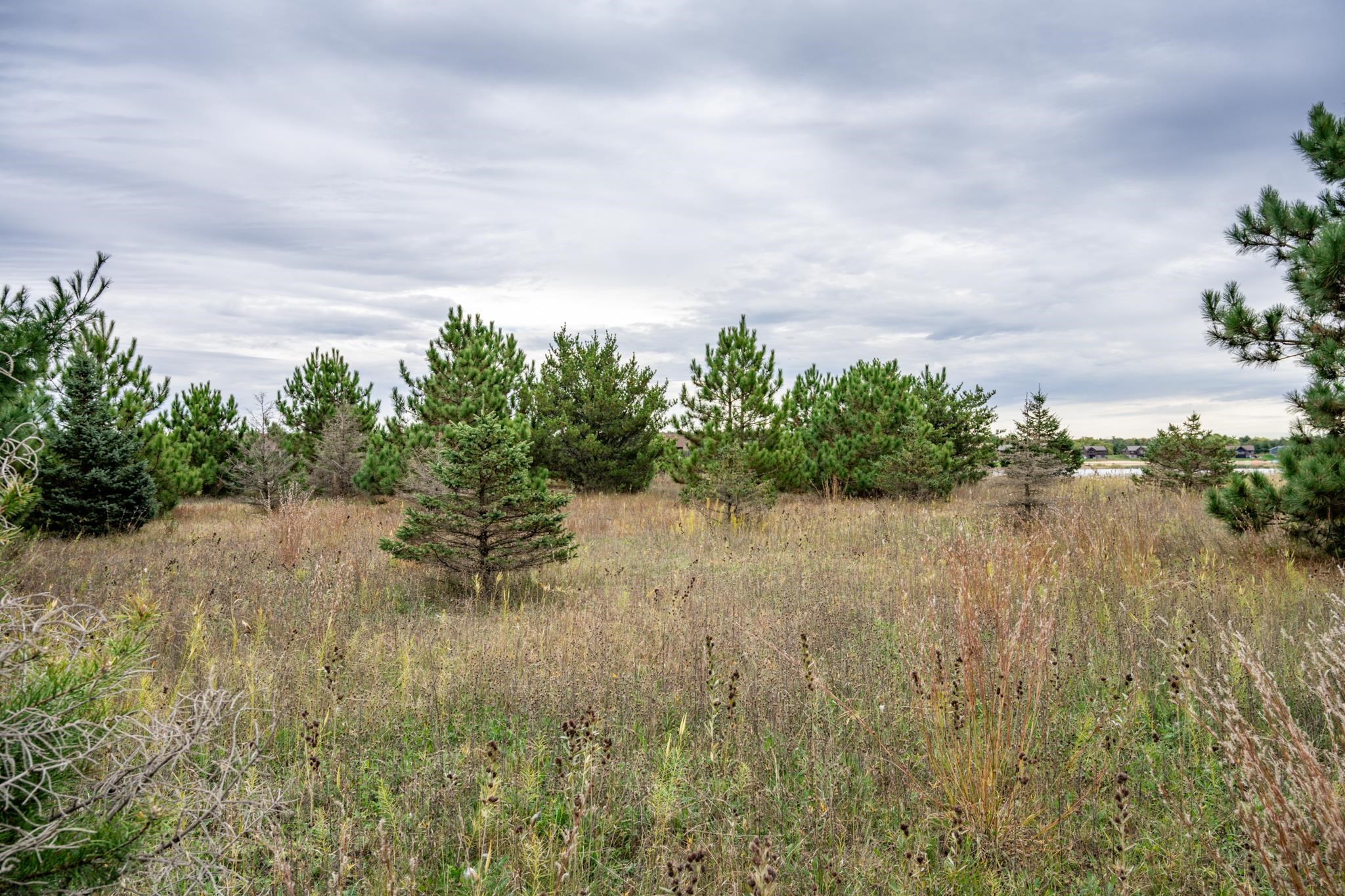 N7512 Rising Sun Court New Lisbon, WI 53950 - Photo 31 of 44