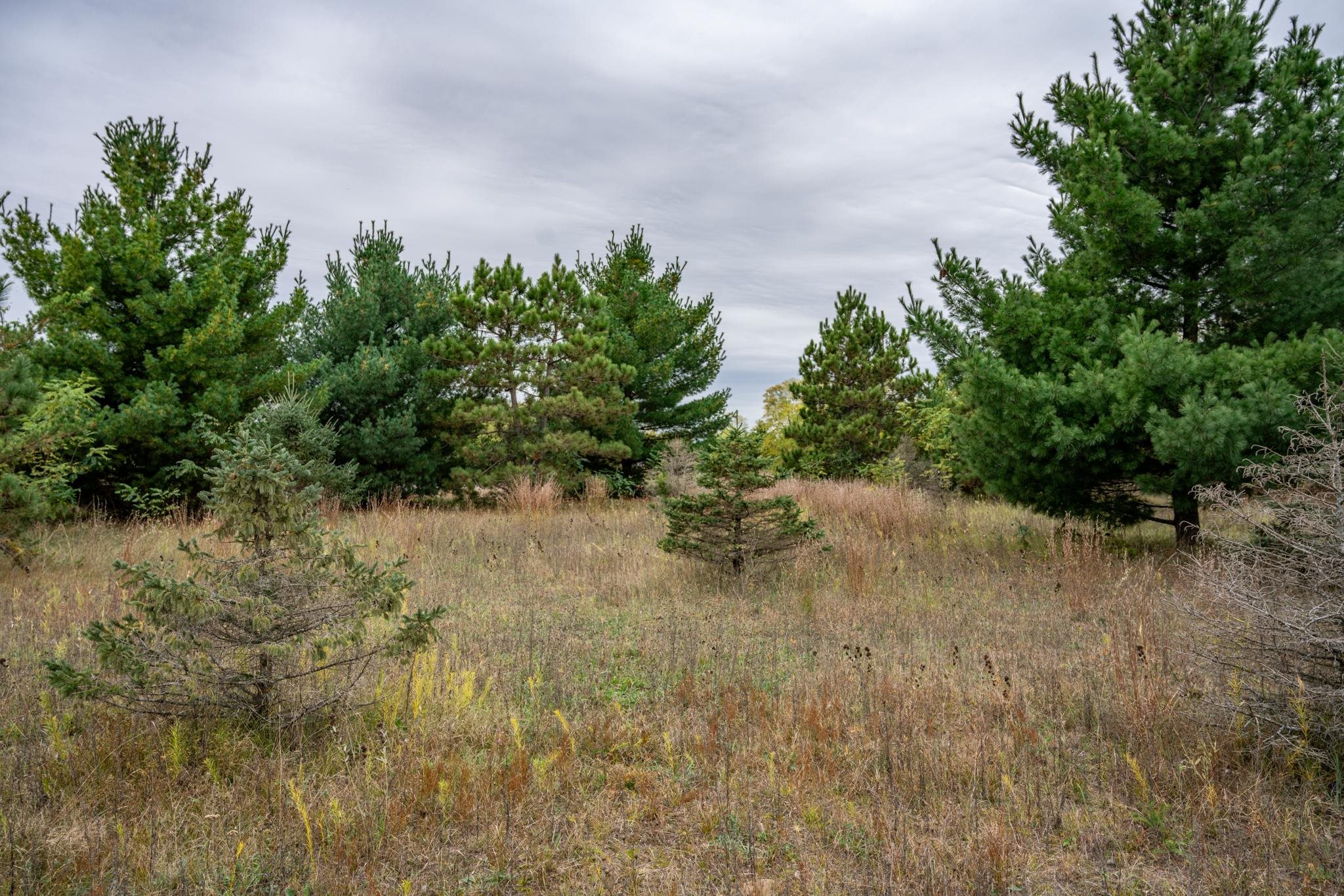 N7512 Rising Sun Court New Lisbon, WI 53950 - Photo 9 of 44