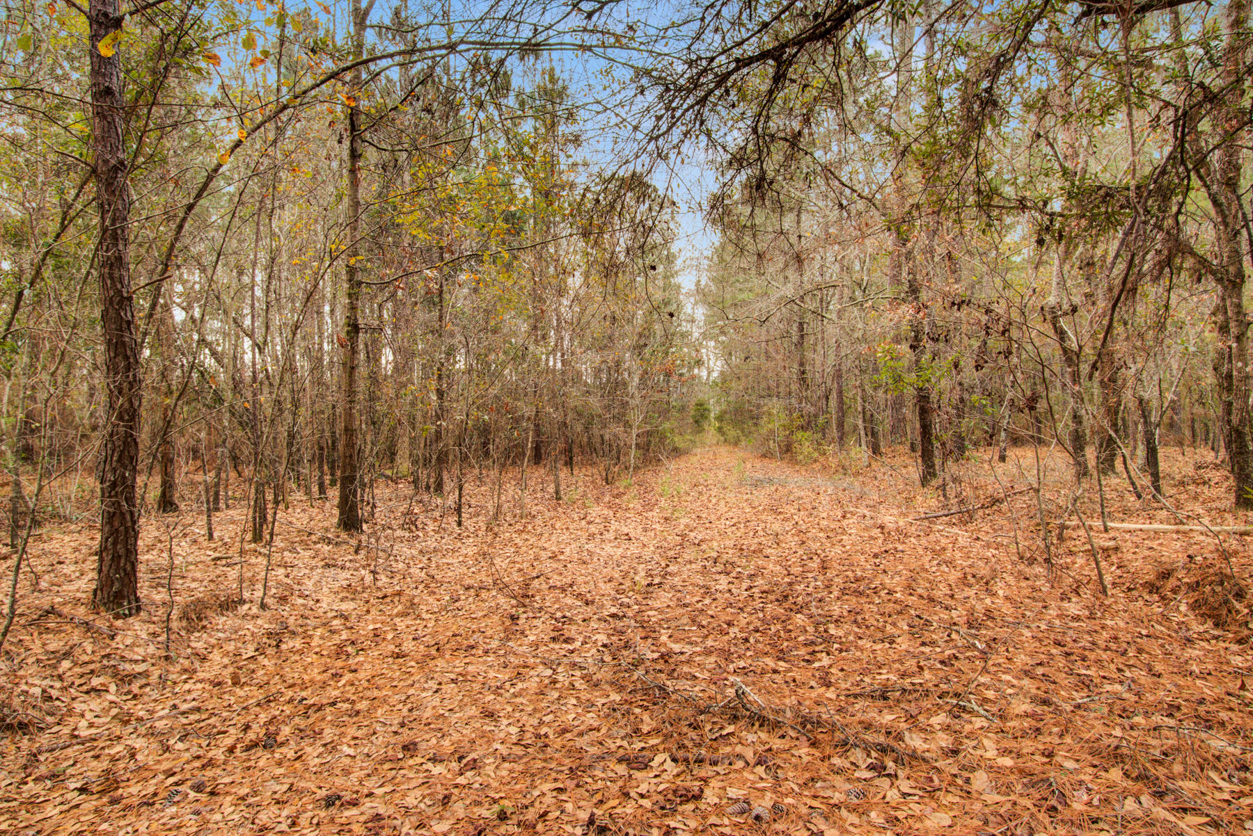 373 Fox Ridge Lane Moncks Corner, SC 29461 - Photo 39 of 46 373 Fox Ridge, Moncks Corner SC (45)
