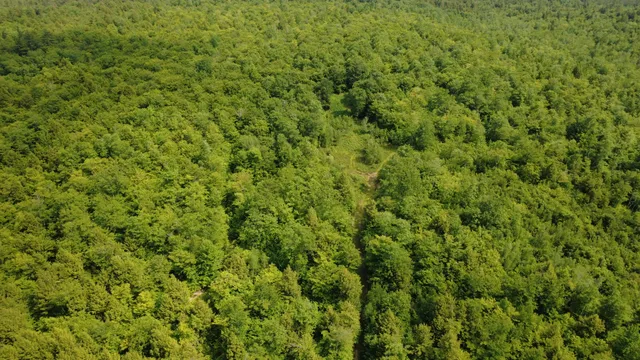 $785,000 | Lot 06 Mcintire Road, Waterford, ME 04088