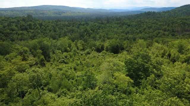 $785,000 | Lot 06 Mcintire Road, Waterford, ME 04088
