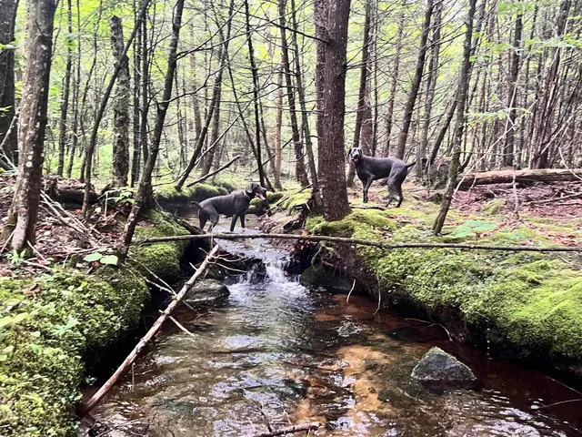 $785,000 | Lot 06 Mcintire Road, Waterford, ME 04088