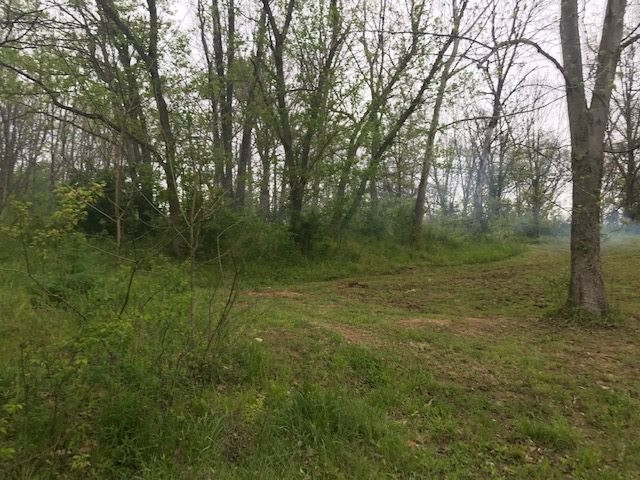 9735 Napoleon-Zion Station Road Dry Ridge, KY 41035 - Photo 7 of 22