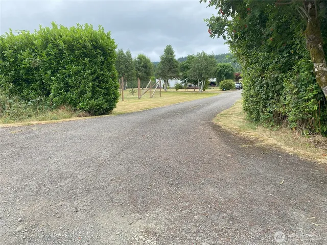 a view of a yard with a tree