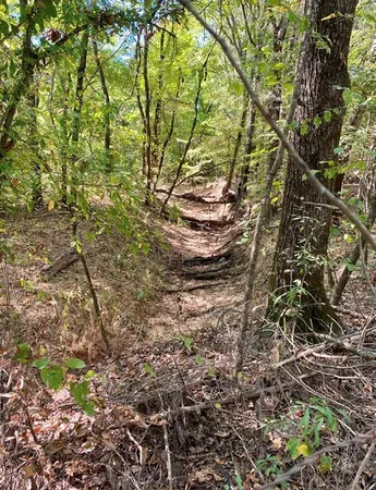 $415,200 | 2615 County Road 2615, Ivanhoe, TX 75447