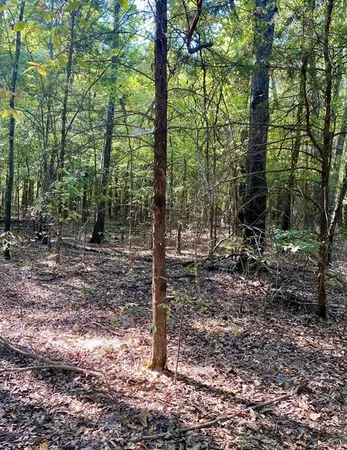 $415,200 | 2615 County Road 2615, Ivanhoe, TX 75447