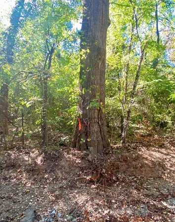 $415,200 | 2615 County Road 2615, Ivanhoe, TX 75447