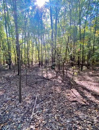 $415,200 | 2615 County Road 2615, Ivanhoe, TX 75447