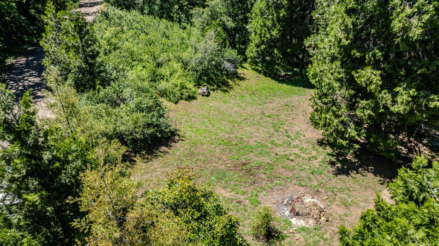 15853 Schaefer Ranch Road Pioneer, CA 95666 - Photo 62 of 68