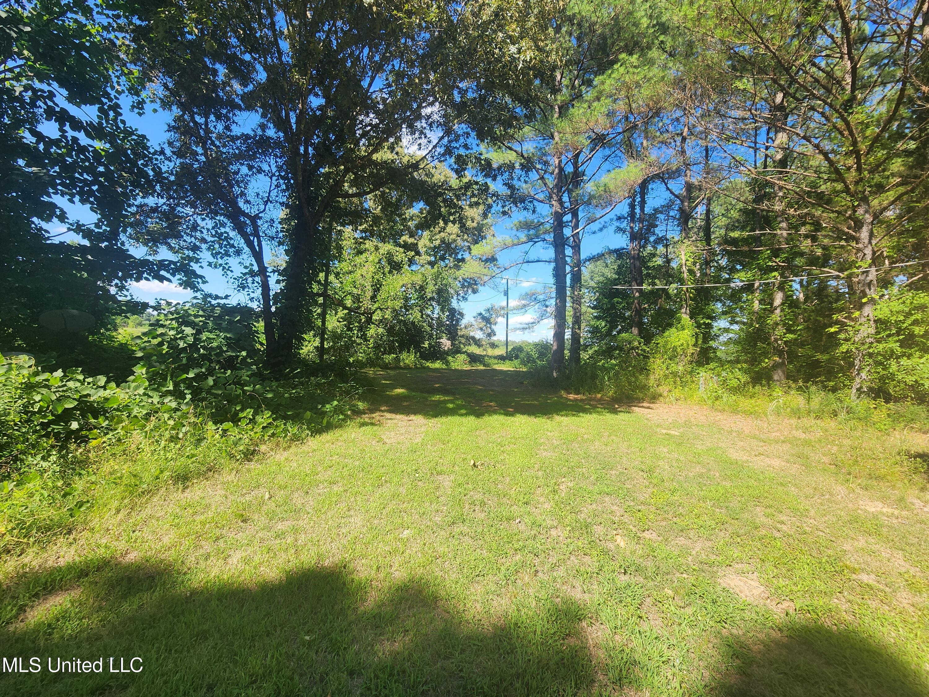 1336 Odell Road Holly Springs, MS 38635 - Photo 4 of 17 20240710_162145