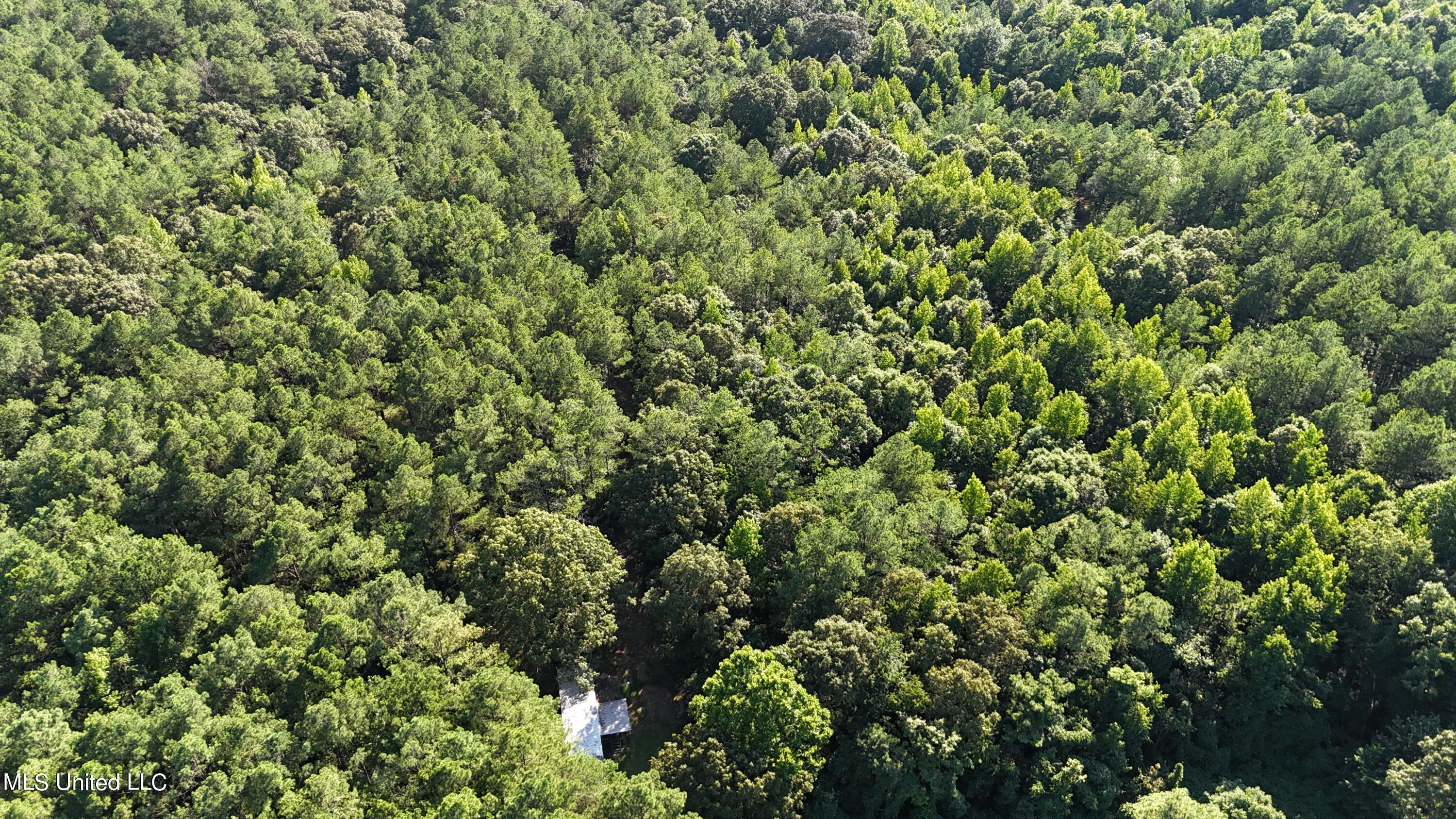 1336 Odell Road Holly Springs, MS 38635 - Photo 7 of 17 DJI_20240710172806_0667_D