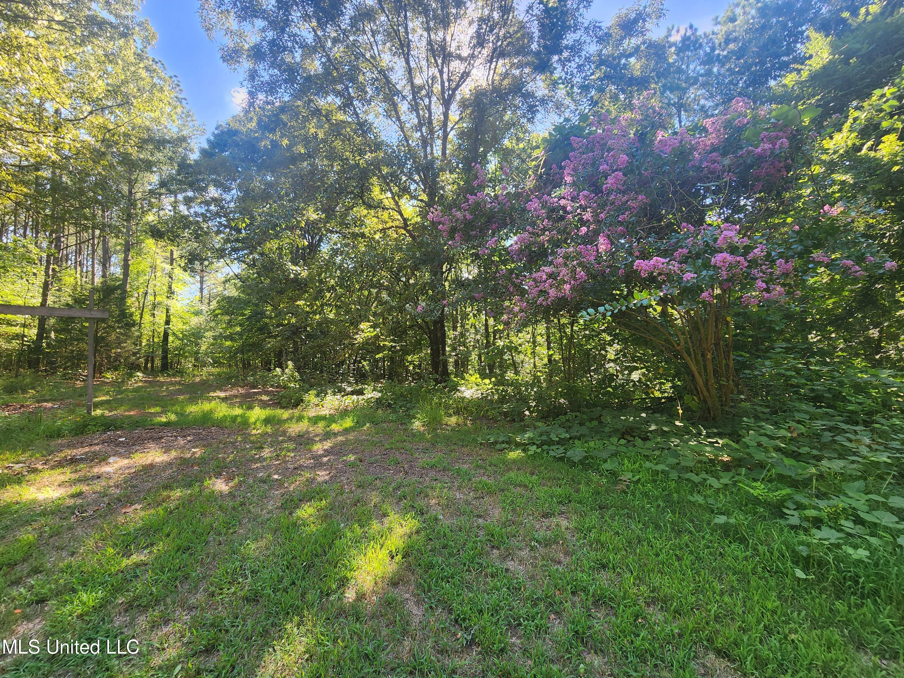 1336 Odell Road Holly Springs, MS 38635 - Photo 8 of 17 20240710_164848