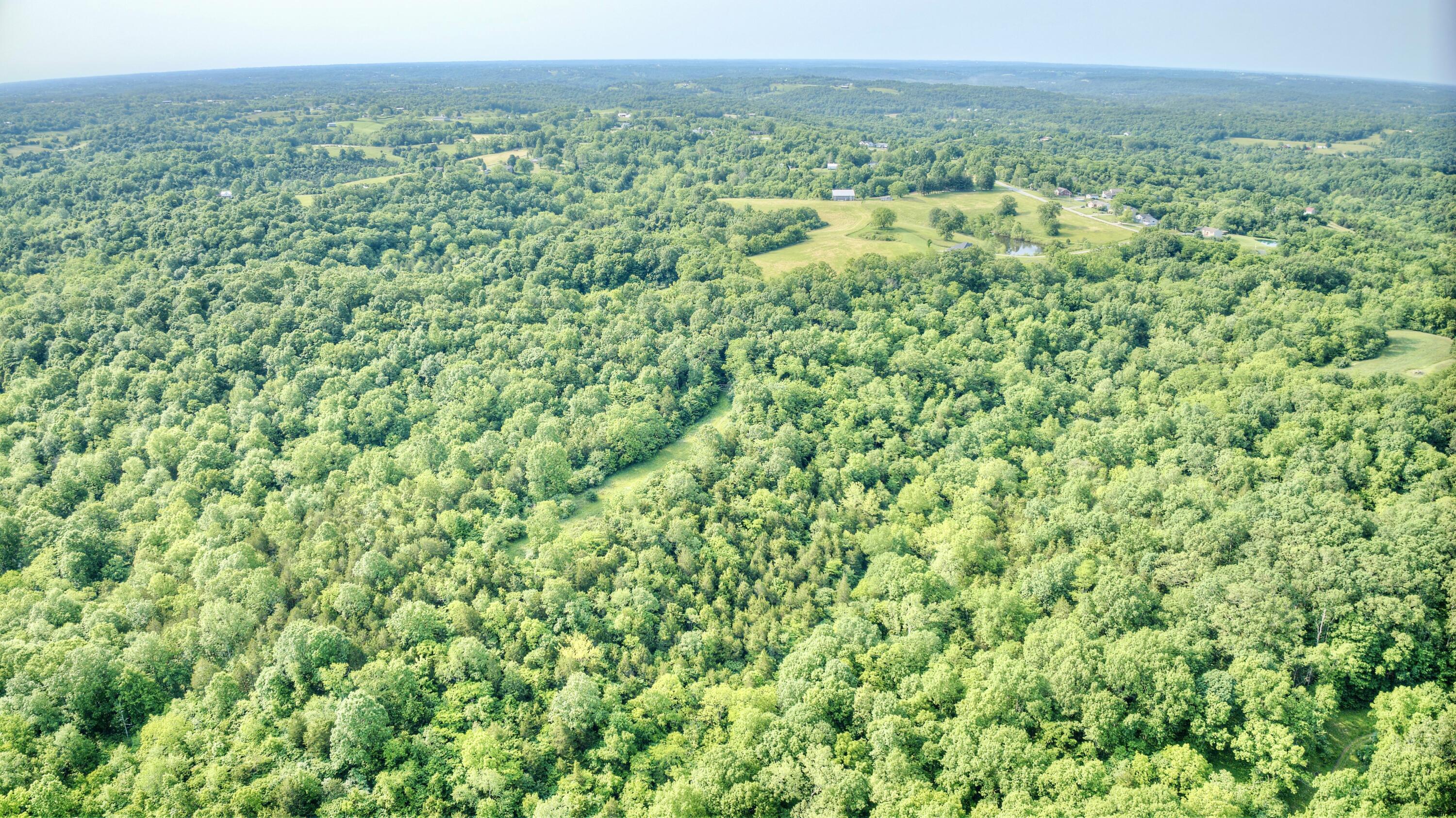 0 Peach Grove Road California, KY 41007 - Photo 10 of 22 08