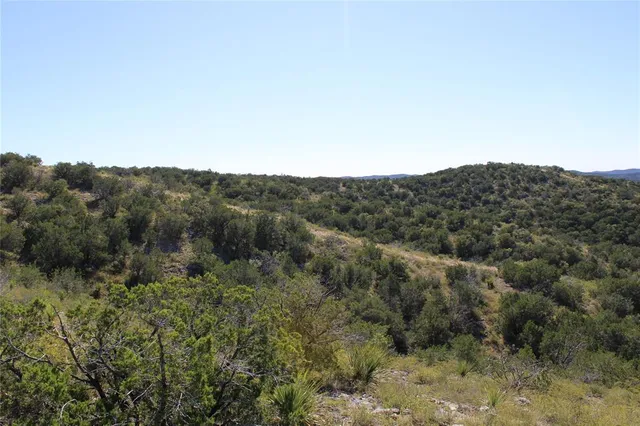 a big yard with lots of green space