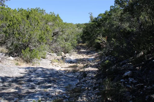 a vase of flowers sitting on a table