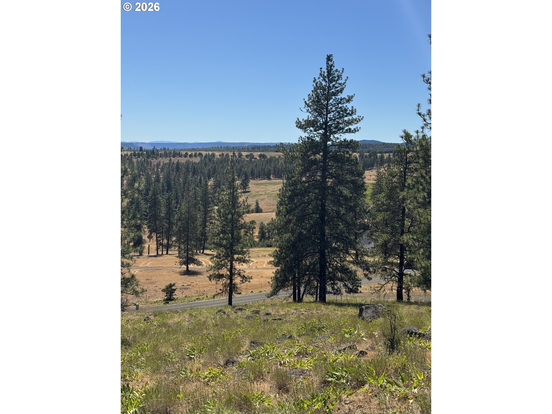 Zelinski Road Goldendale, WA 98620 - Photo 13 of 15
