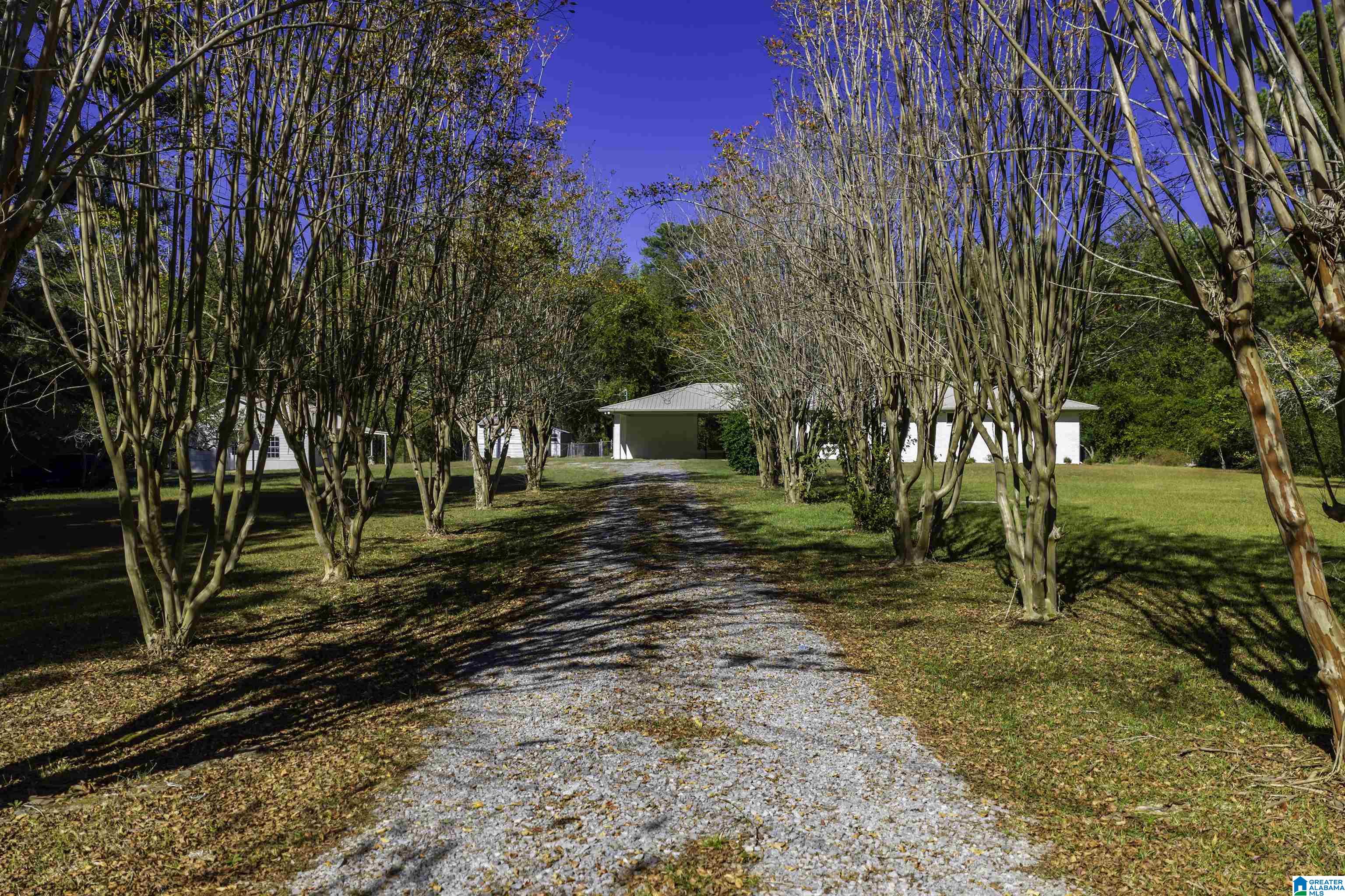 9389 Central Road Warrior, AL 35180 - Photo 39 of 42