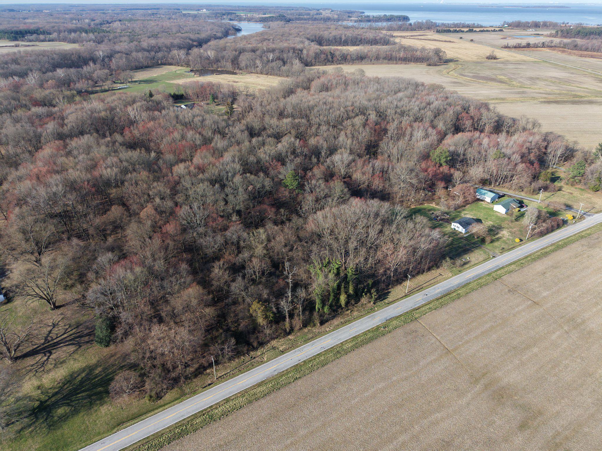23737 Smithville Road Worton, MD 21678 - Photo 3 of 6 Serene countryside retreat awaits.