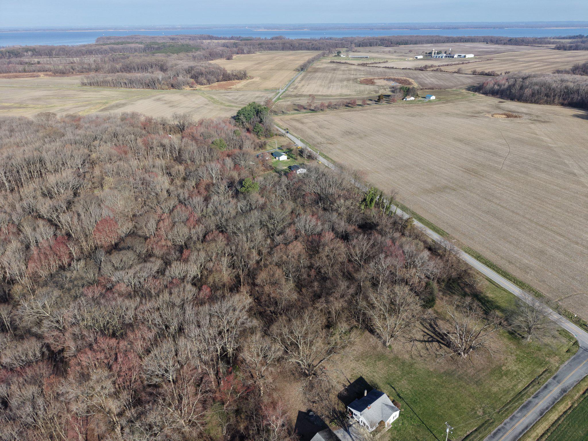 23737 Smithville Road Worton, MD 21678 - Photo 4 of 6 Serene countryside meets open fields.