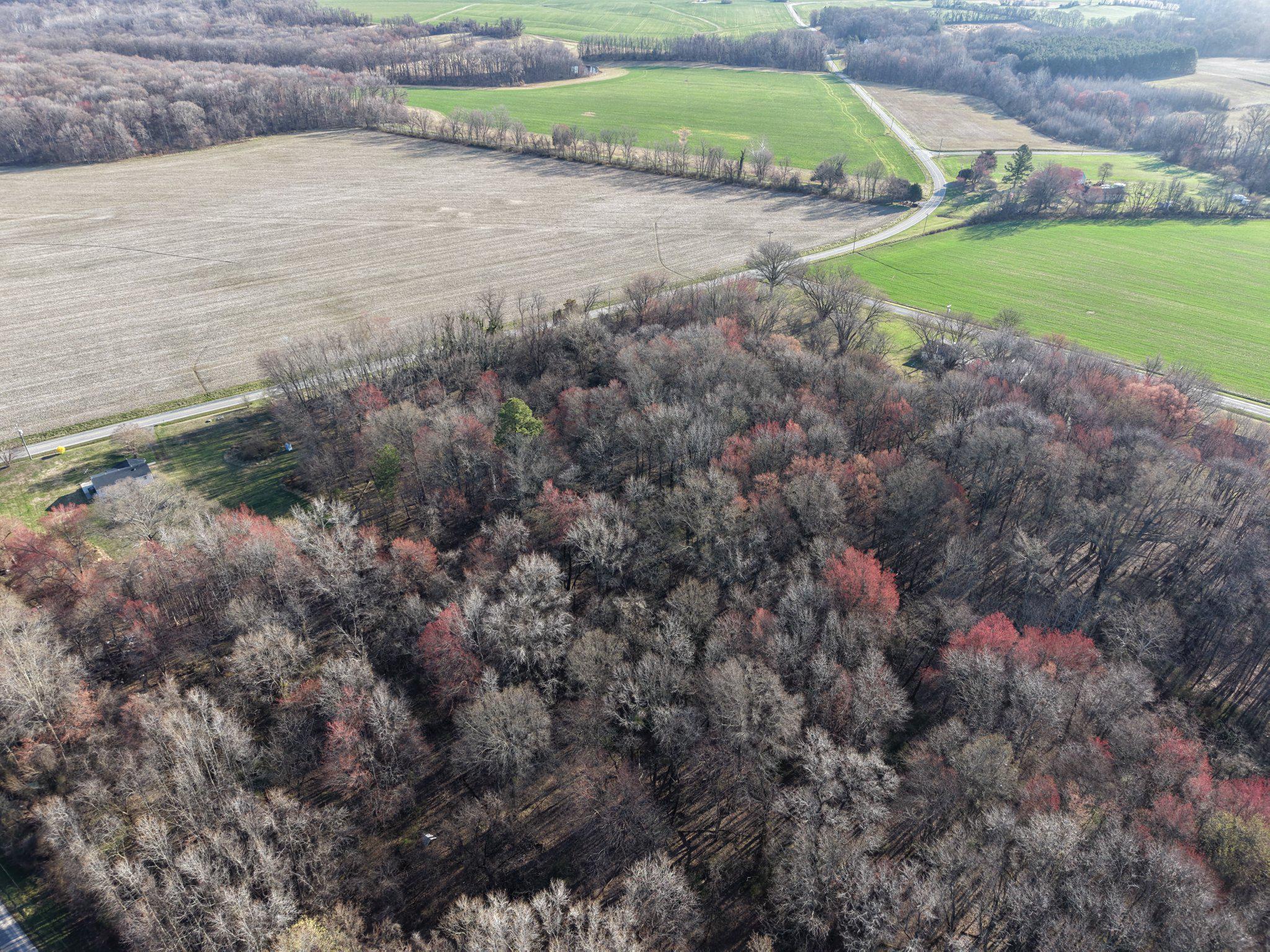 23737 Smithville Road Worton, MD 21678 - Photo 5 of 6 Vibrant autumn hues over tranquil fields.