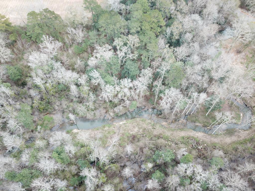 50.45-acres Trawick Road Dothan, AL 36301 - Photo 54 of 62