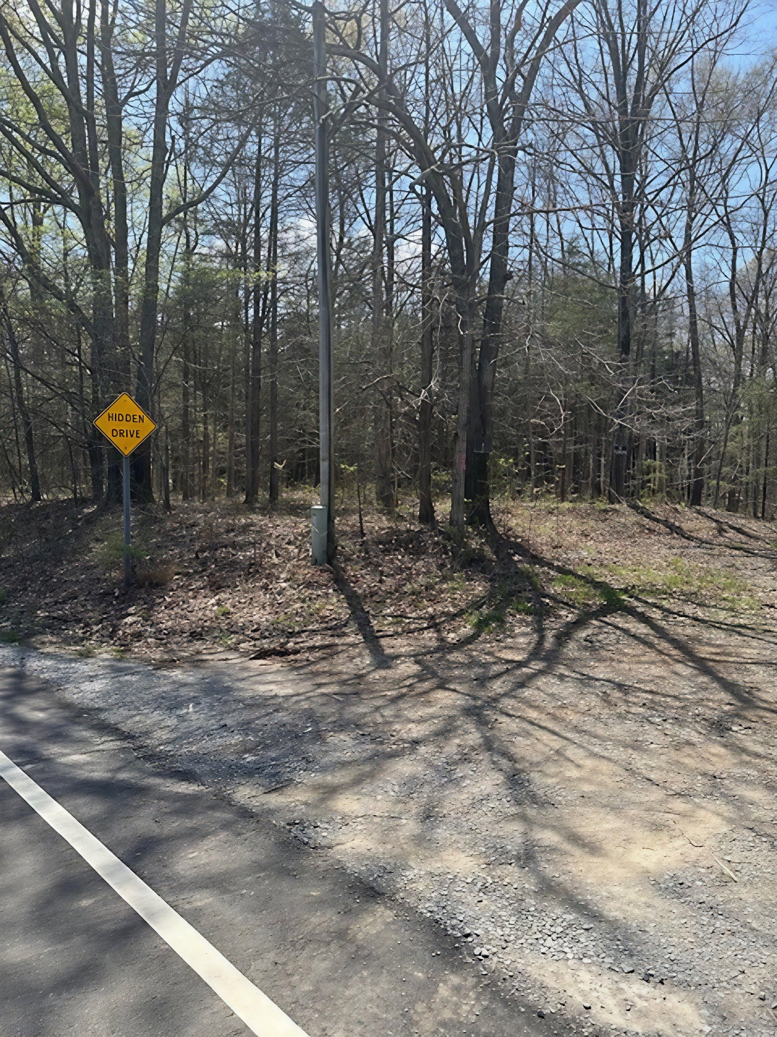 3601 Bowker Road Charlotte, TN 37036 - Photo 5 of 9 a view of a backyard of a house
