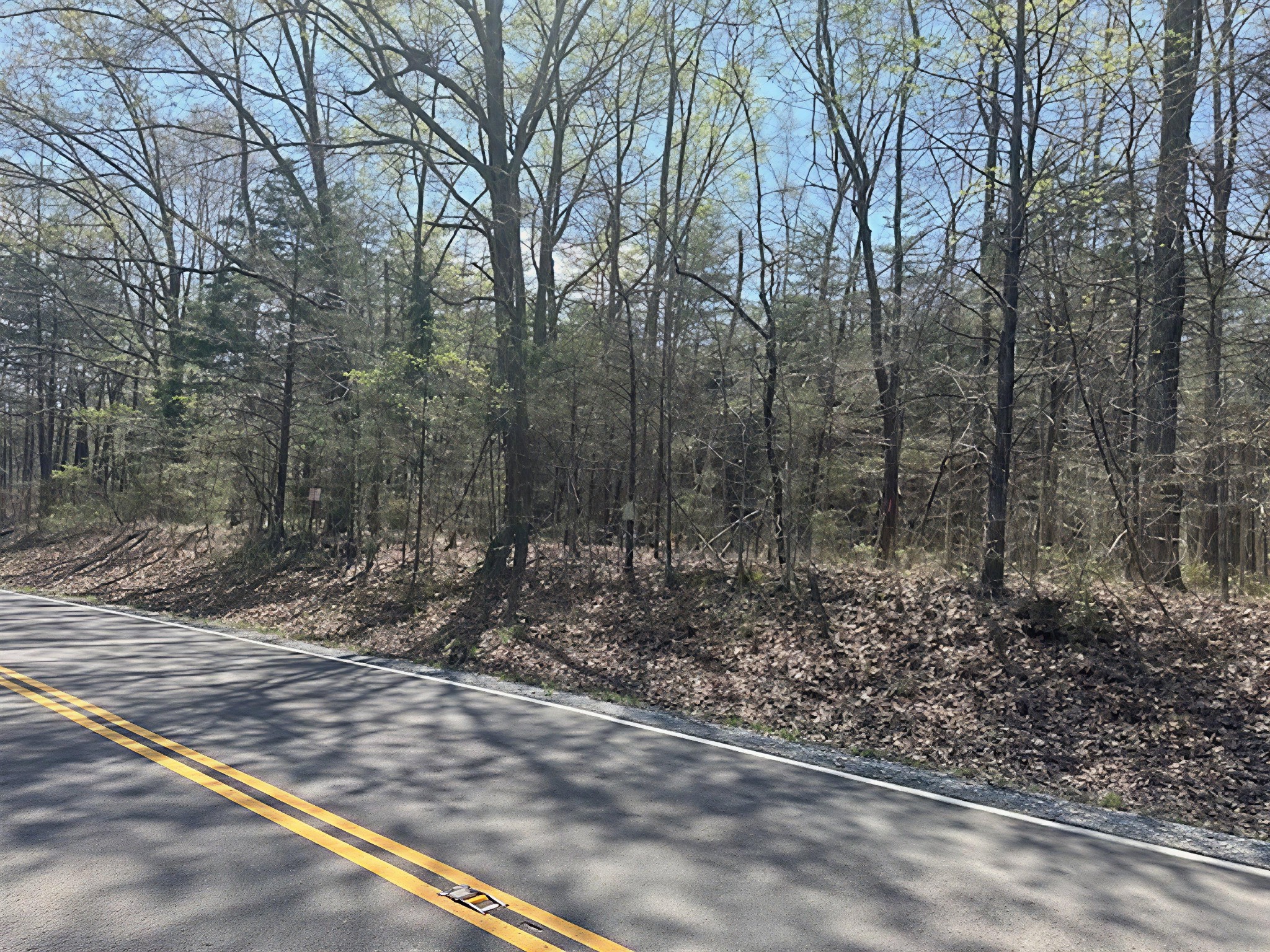 3601 Bowker Road Charlotte, TN 37036 - Photo 7 of 9 a view of a forest filled with trees