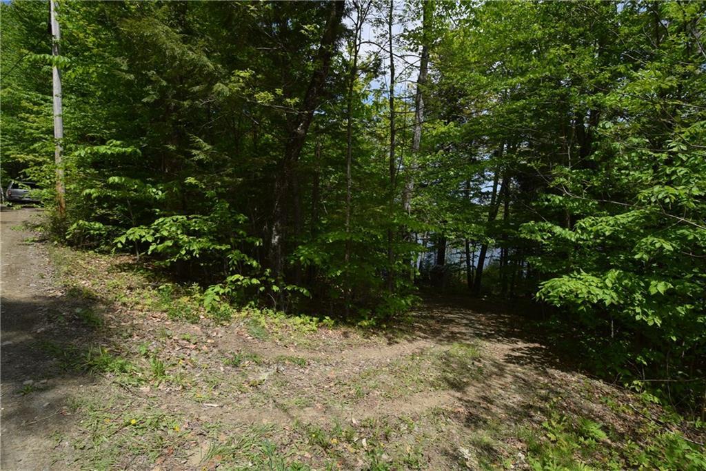 432 Lot Road Danforth, ME 04424 - Photo 18 of 30 Driveway going down to the cabin...