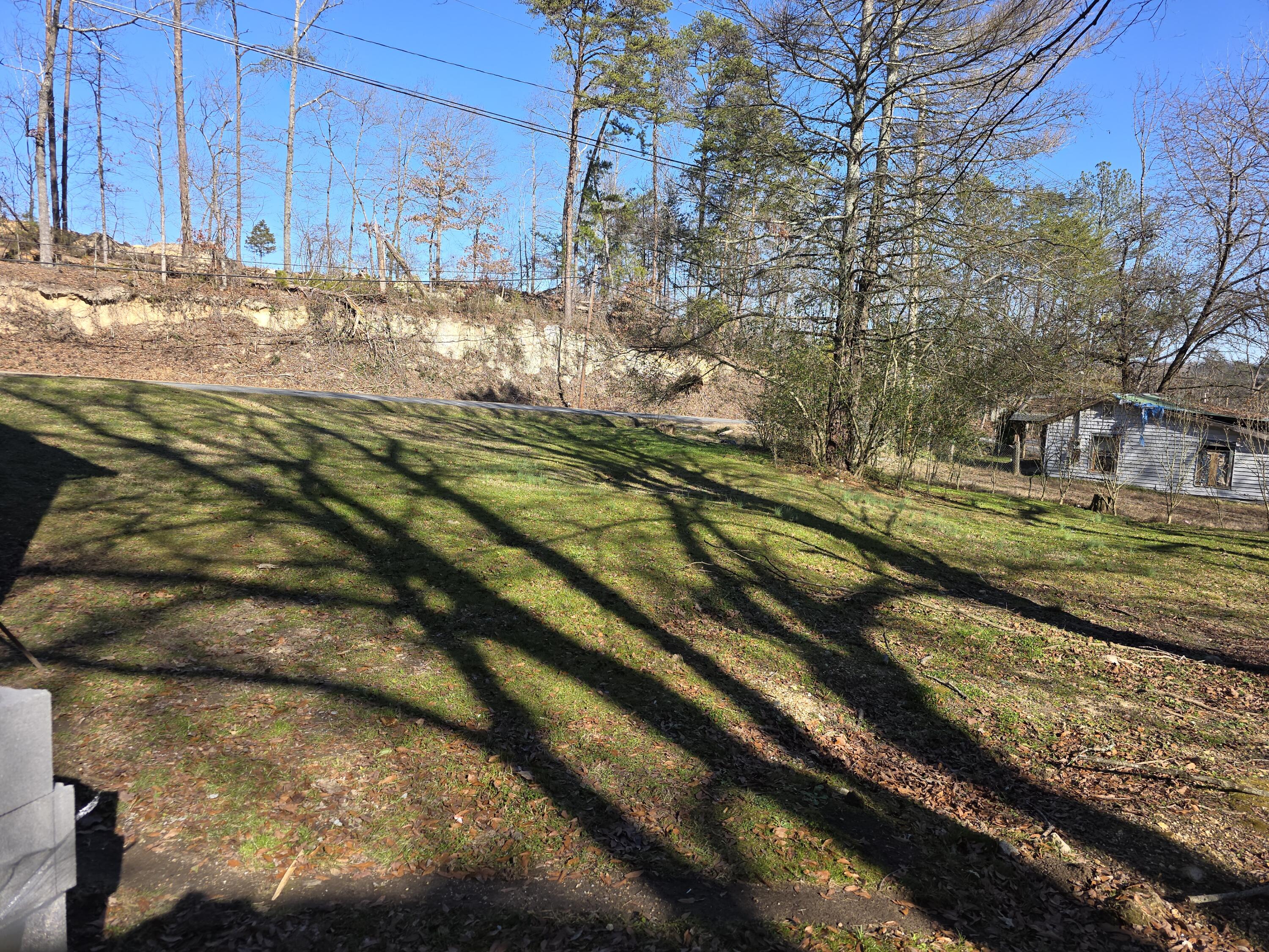 1009 West Main Street LaFayette, GA 30728 - Photo 4 of 43 20260118_143134