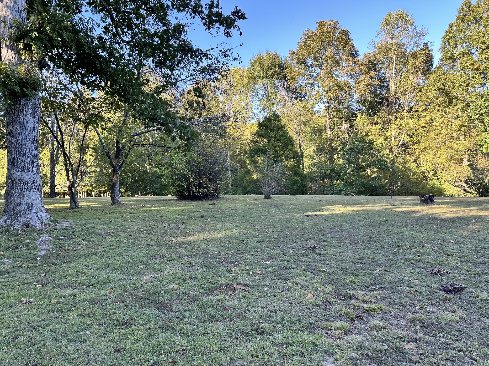 8376 Chestnut Ridge Road Lynchburg, TN 37352 - Photo 3 of 37 a view of outdoor space with trees all around